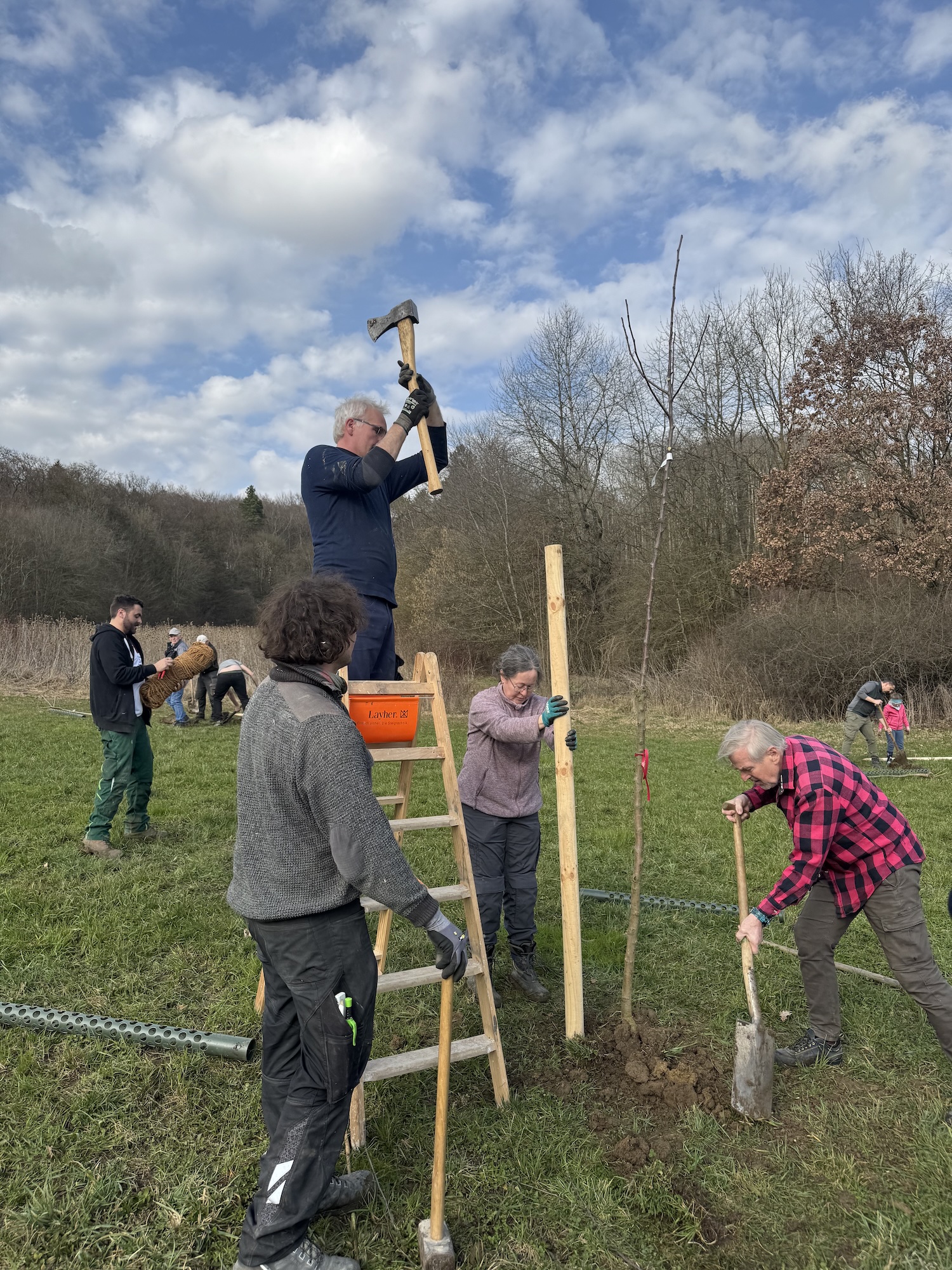 Regionale Obstsorten wurden auf einer Wiese am Ortsrand gepflanzt